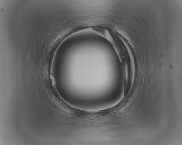 X0000077340681200610201300
