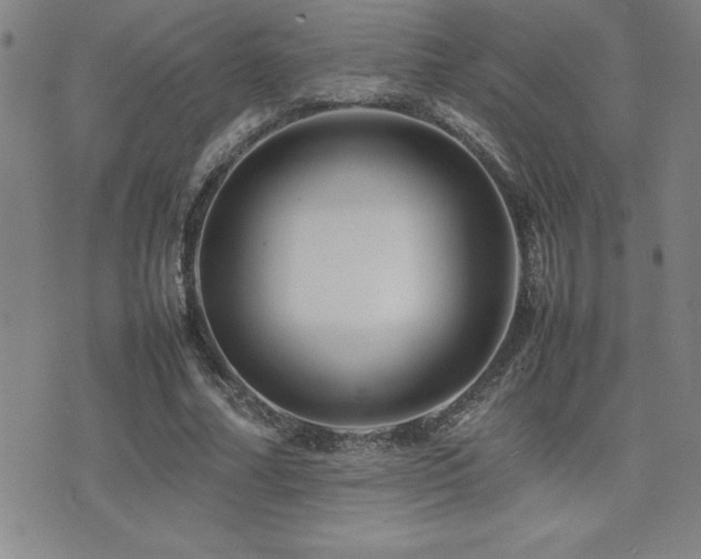 X0000077340682200610201300