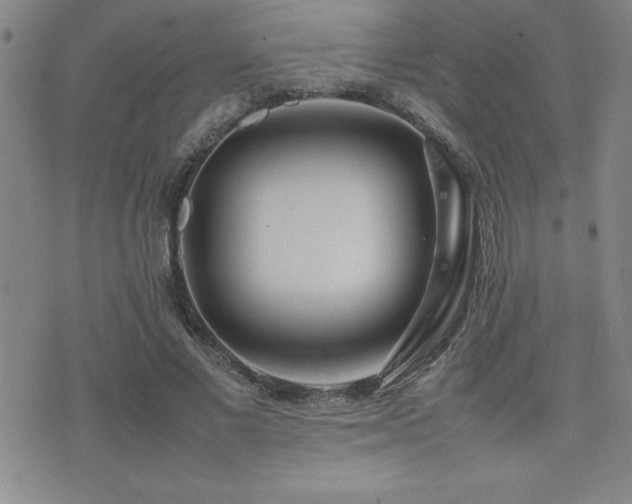 X0000077340685200610201300