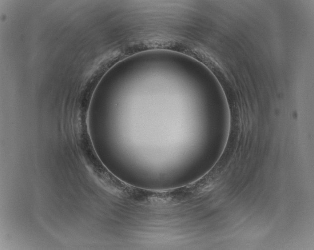 X0000077340690200610201259