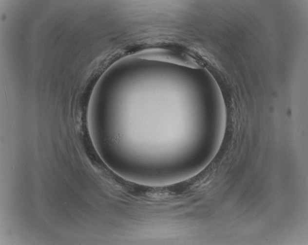 X0000077340693200610201259