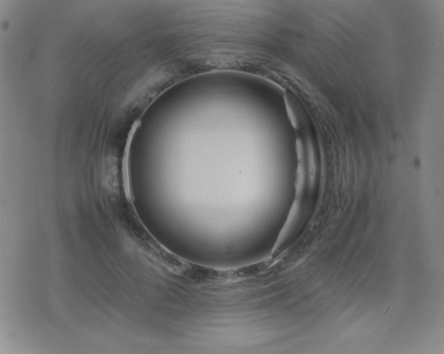X0000077340696200610201259