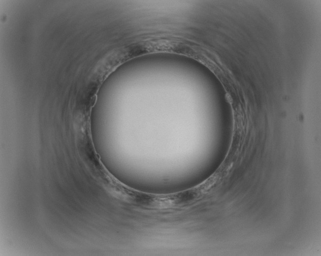 X0000077340701200610201259