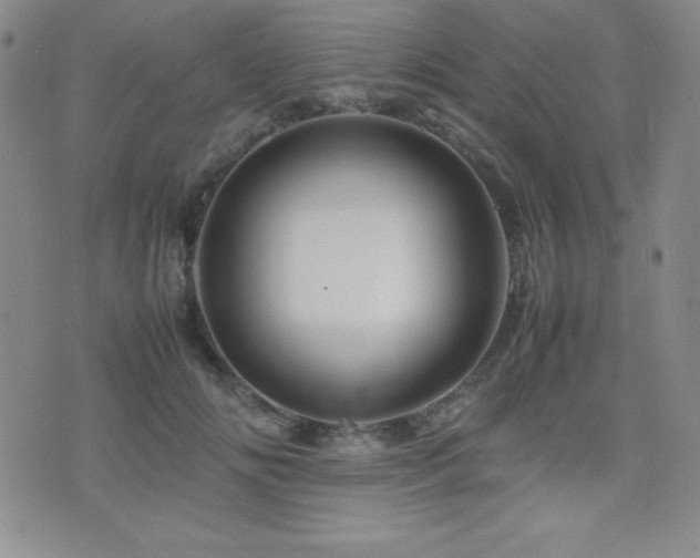 X0000077340702200610201259