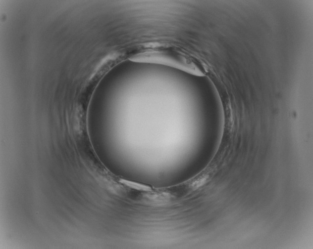 X0000077340712200610201259
