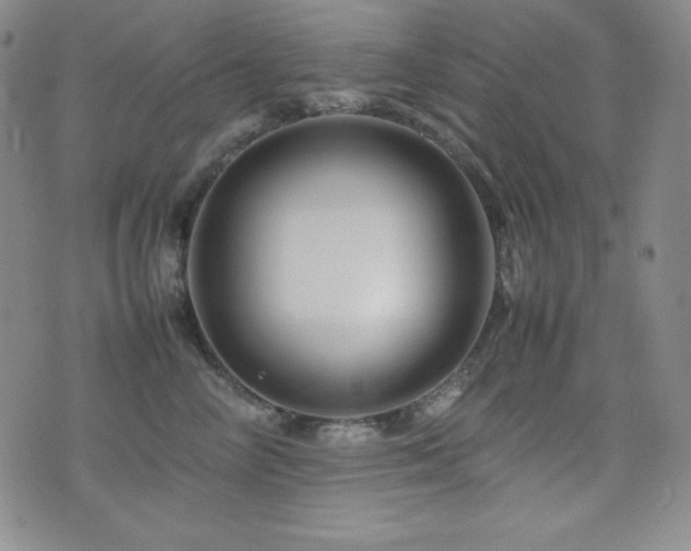 X0000077340714200610201259