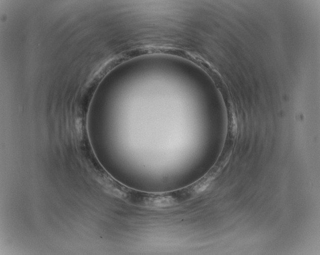 X0000077340716200610201259