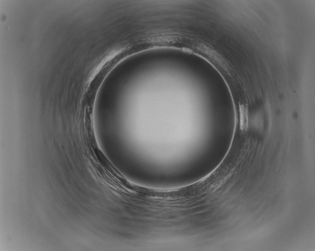 X0000077340723200610201258