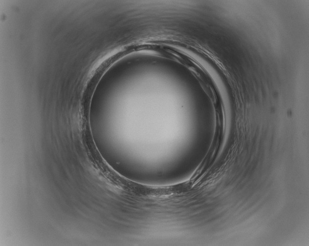 X0000077340724200610201258