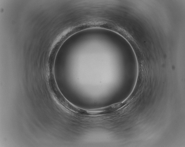 X0000077340726200610201258