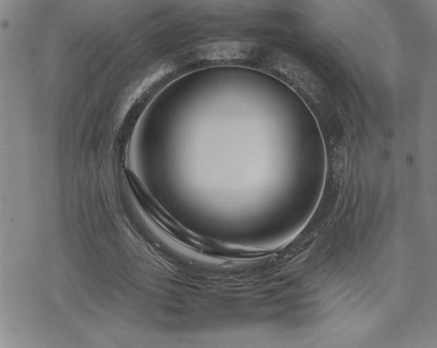 X0000077340727200610201258