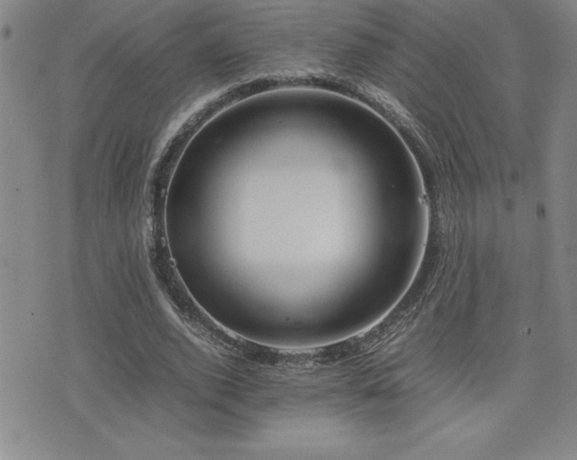 X0000077340728200610201258