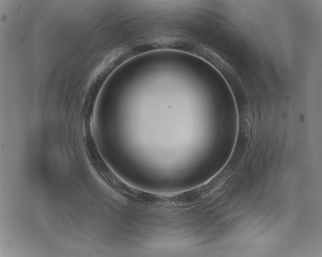 X0000077340734200610201258