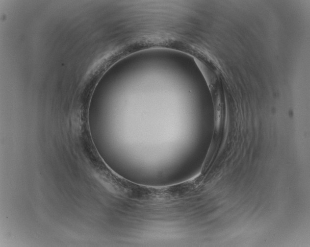 X0000077340736200610201258