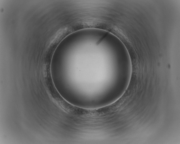 X0000077340738200610201258