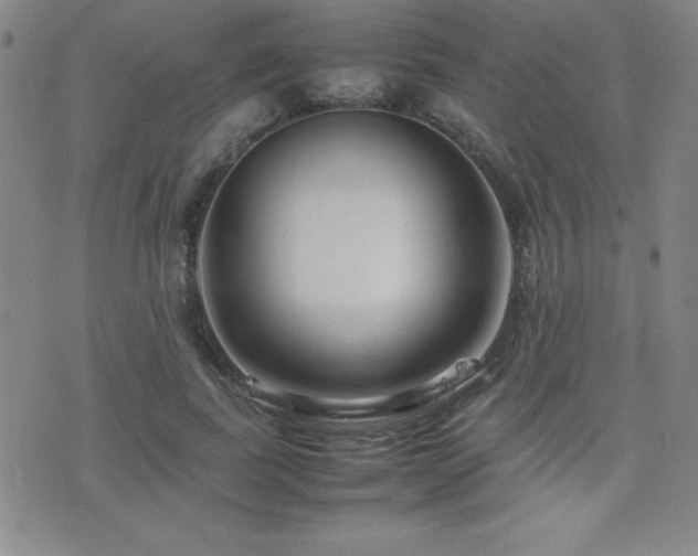 X0000077340739200610201258