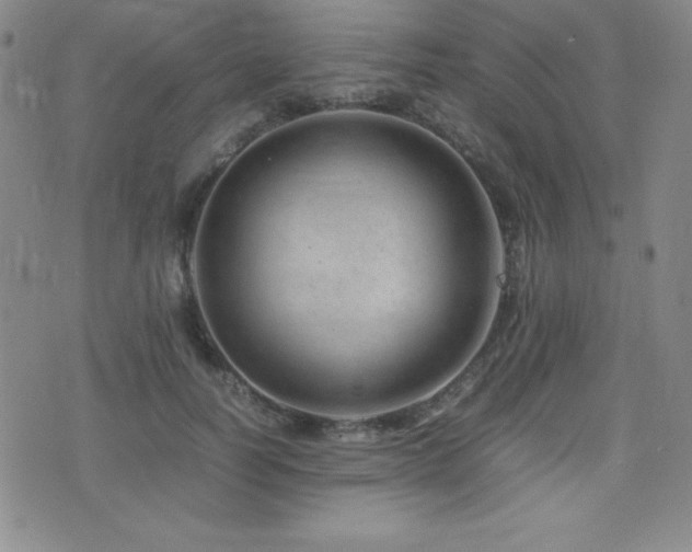 X0000077340746200610201259