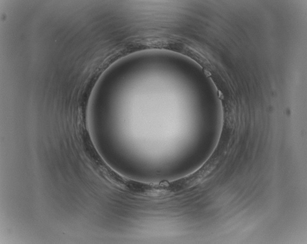 X0000077340748200610201259