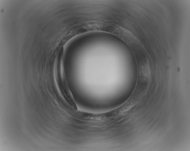 X0000077340751200610201259