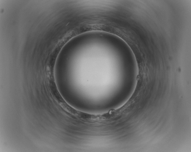 X0000077340752200610201259