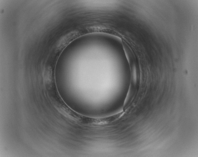 X0000077340760200610201259