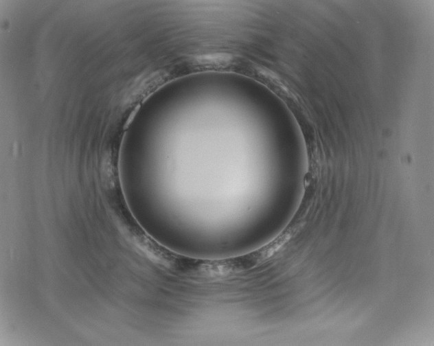 X0000077340764200610201259