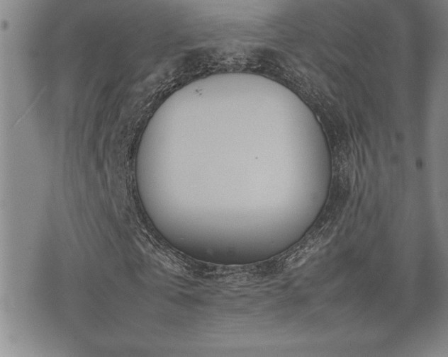 X0000077340769200610201258