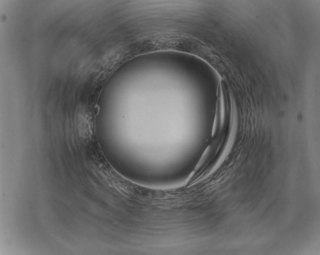 X0000077340772200610201258