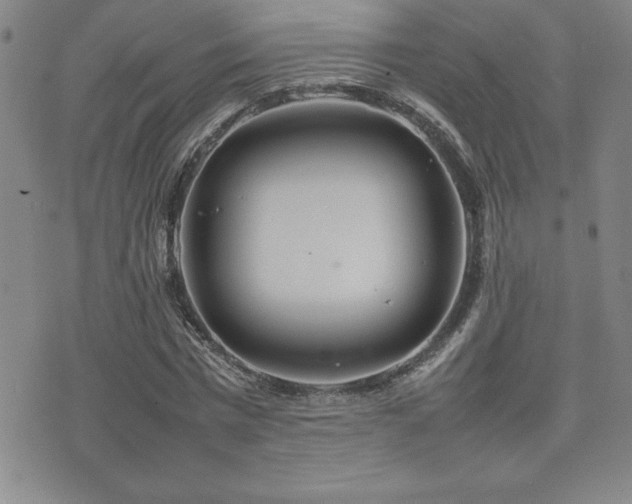 X0000077340777200610201258