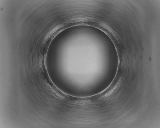 X0000077340778200610201258