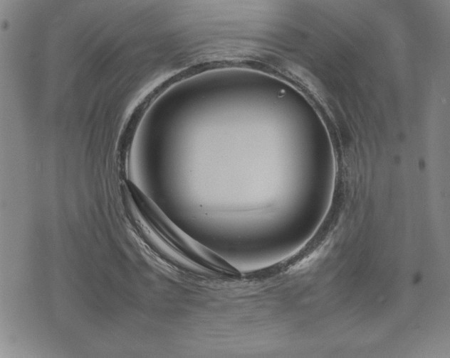 X0000077340779200610201258