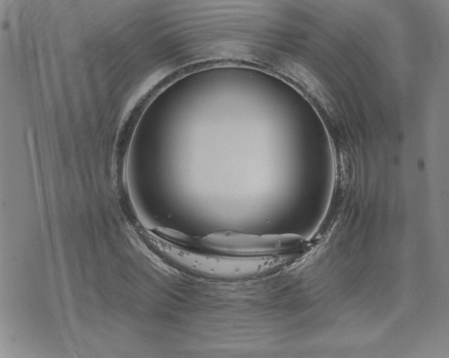 X0000077340780200610201258