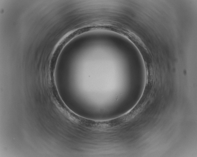 X0000077340784200610201258