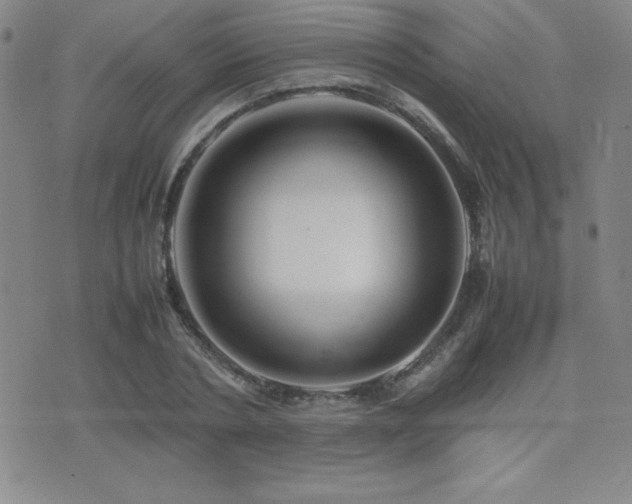 X0000077340786200610201258