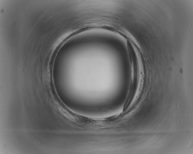 X0000077340787200610201258