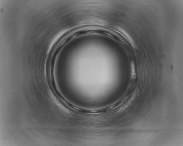 X0000077340788200610201258