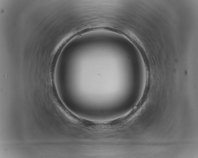 X0000077340789200610201258