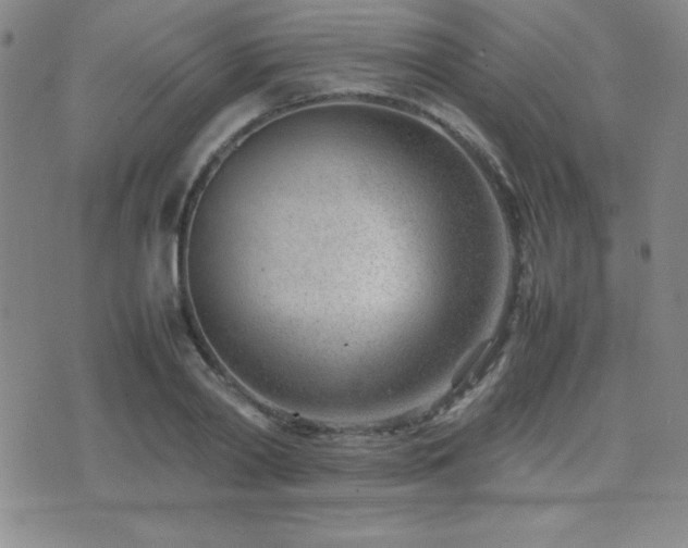 X0000077340790200610201258
