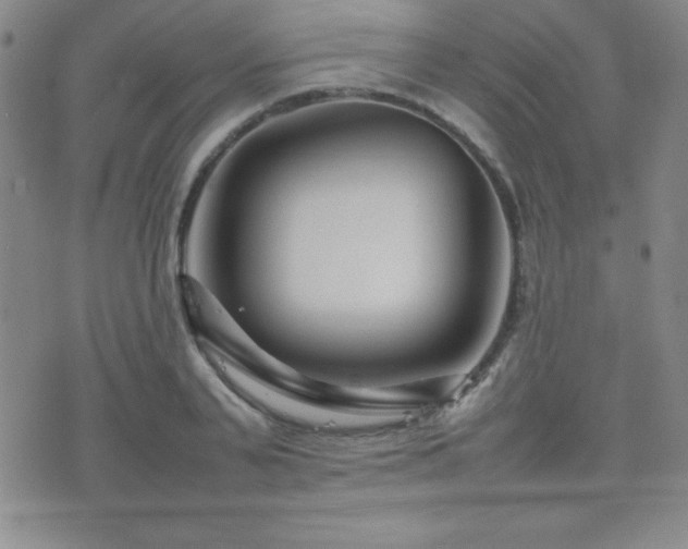 X0000077340791200610201258
