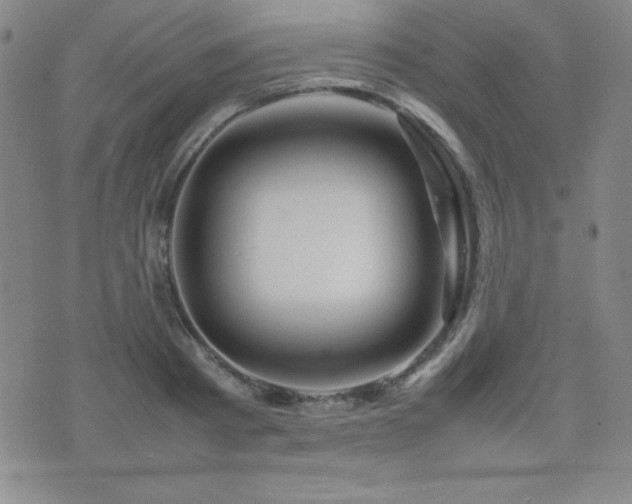 X0000077340793200610201258