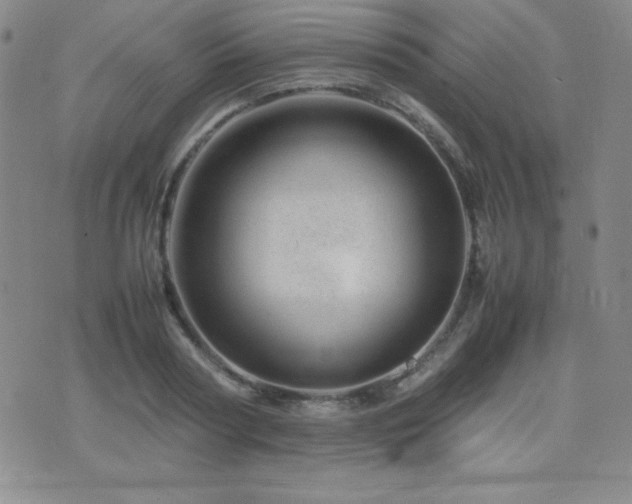 X0000077340794200610201258