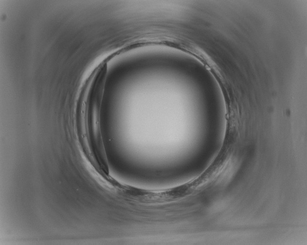 X0000077340795200610201258