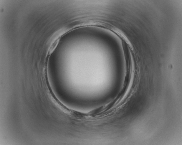 X0000077340805200610201258