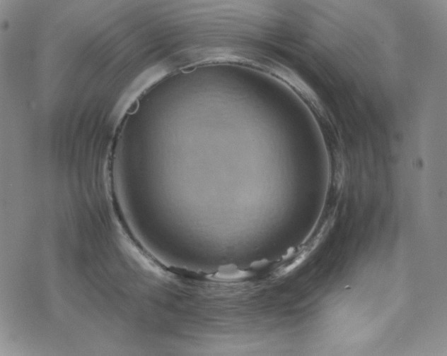 X0000077340806200610201258