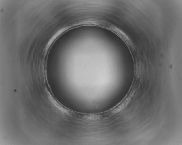 X0000077340808200610201258
