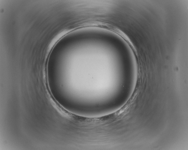 X0000077340811200610201257