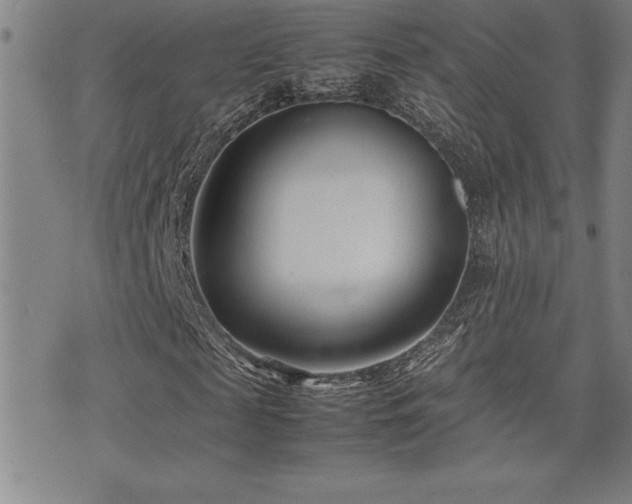 X0000077340817200610201257