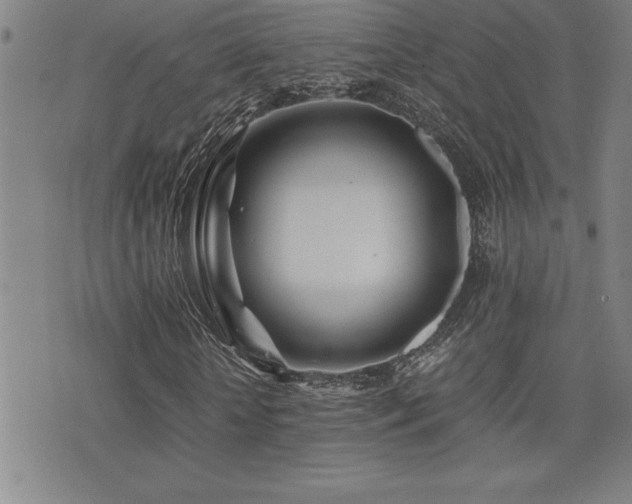 X0000077340818200610201257