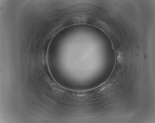 X0000077340819200610201257