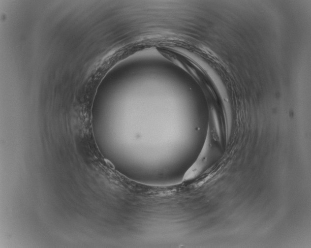 X0000077340822200610201257